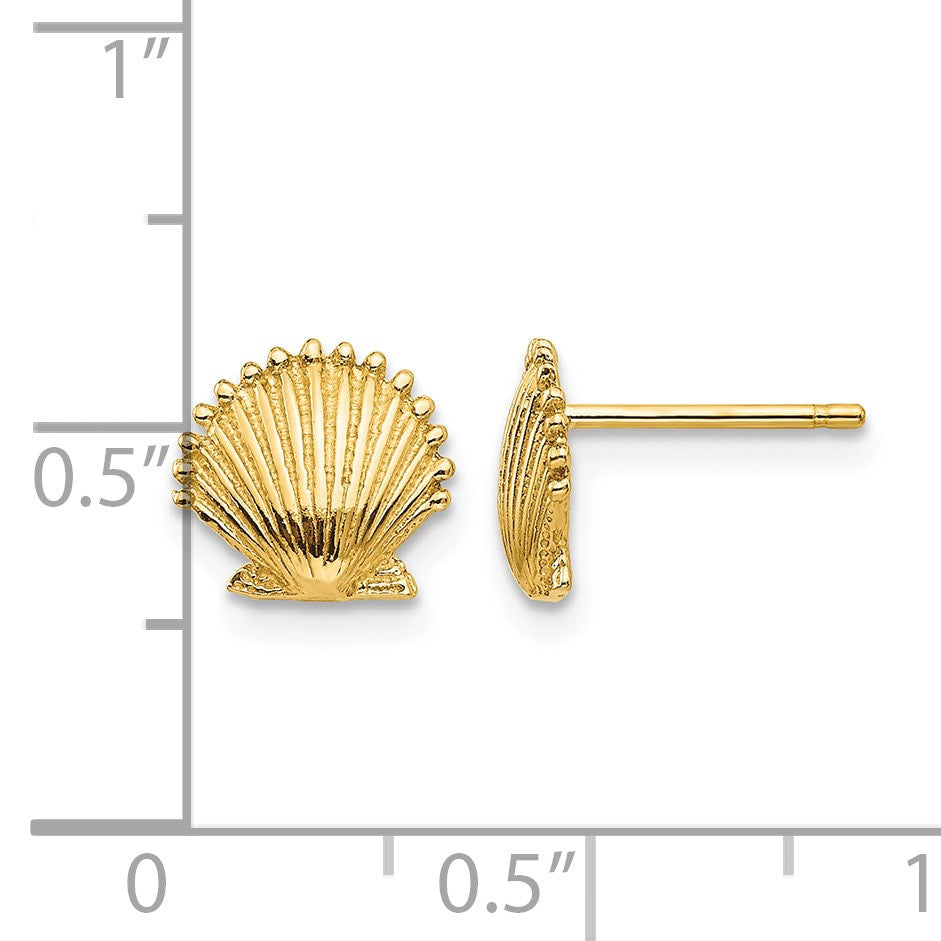 14k Scallop Shell Post Earrings