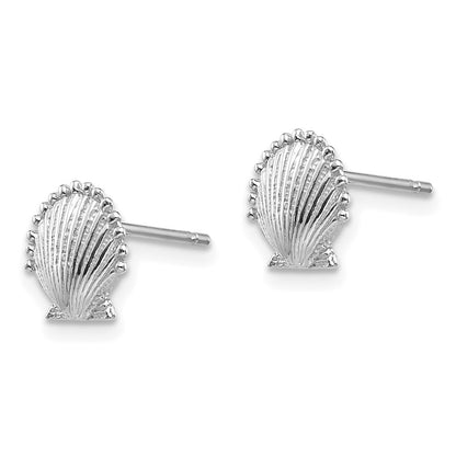 14K White Gold Scallop Shell Post Earrings