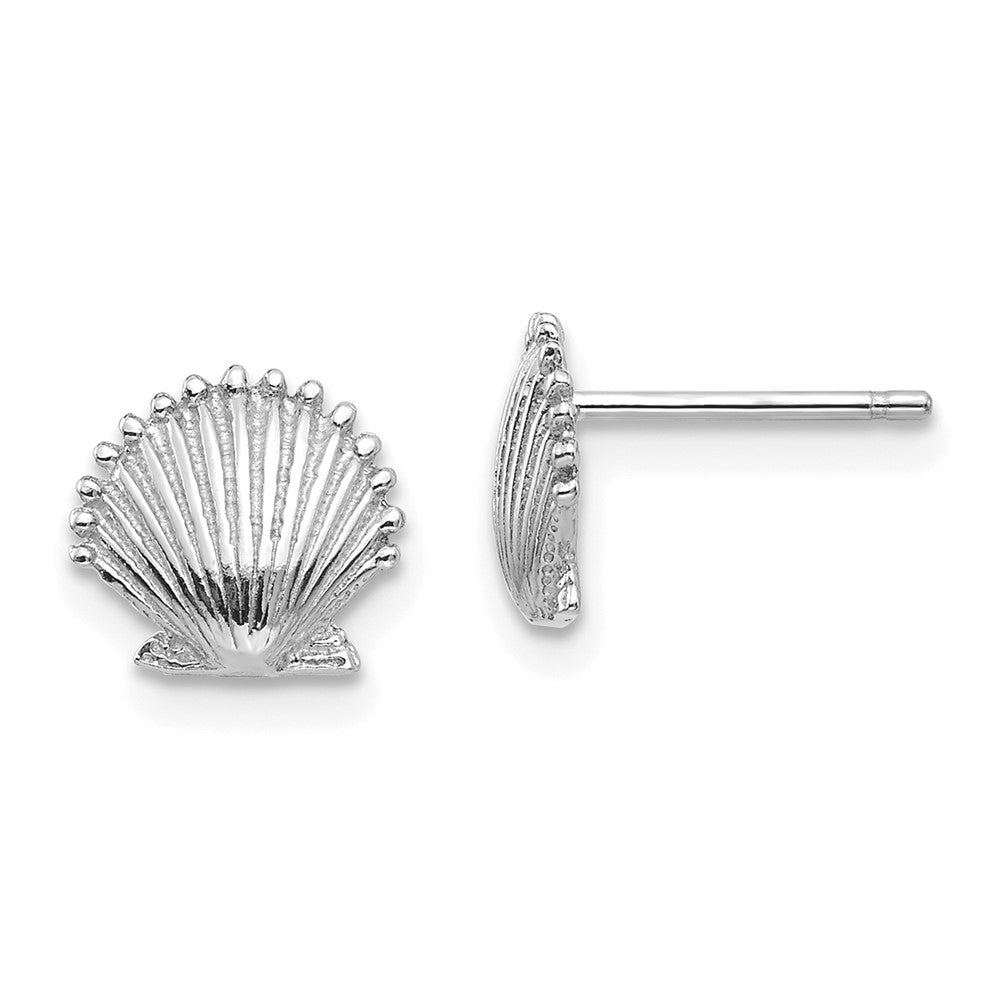 14K White Gold Scallop Shell Post Earrings