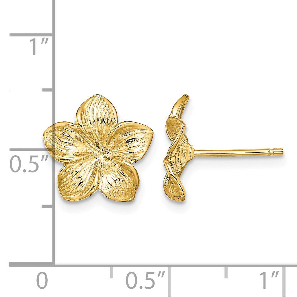 14K Textured Plumeria Flower Post Earrings