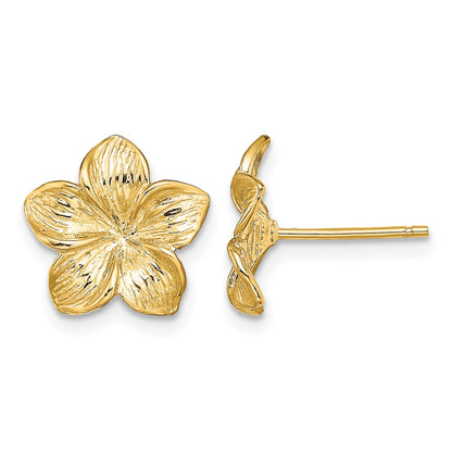 14K Textured Plumeria Flower Post Earrings