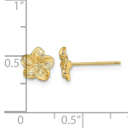 14K Textured Plumeria Flower Post Earrings