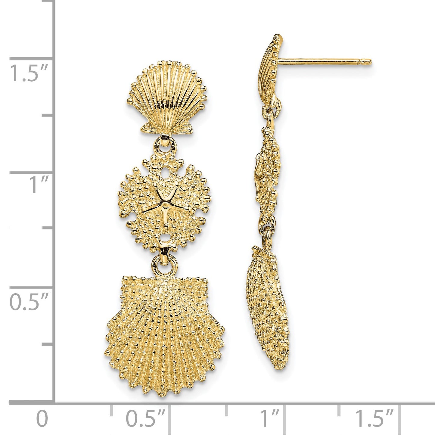 14K Scallop, Sand Dollar,,Scallop Dangle Earrings