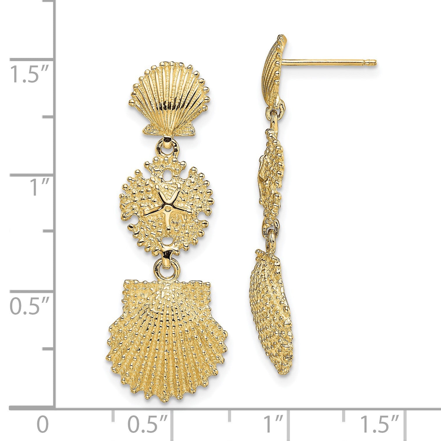14K Scallop, Sand Dollar,,Scallop Dangle Earrings