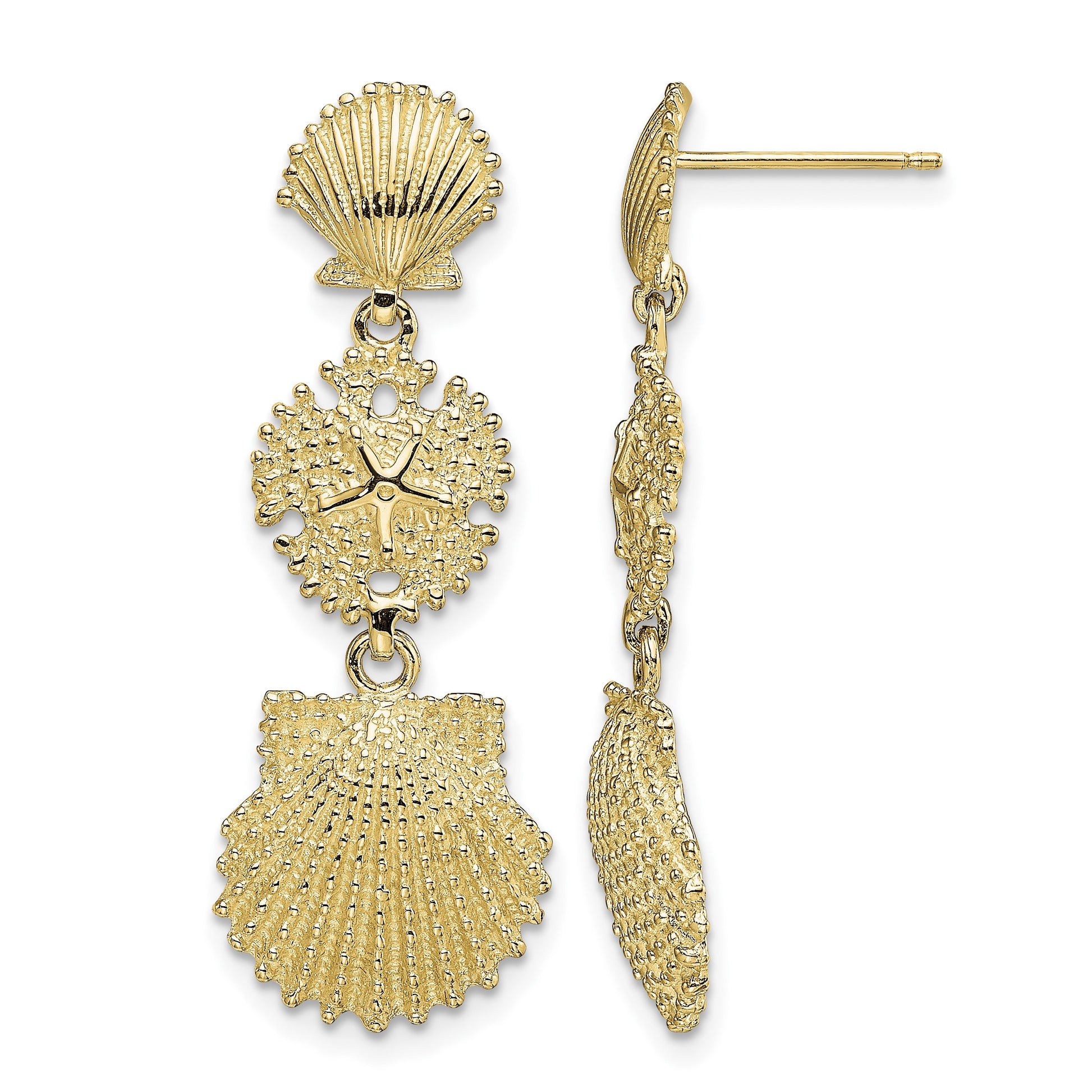14K Scallop, Sand Dollar,,Scallop Dangle Earrings