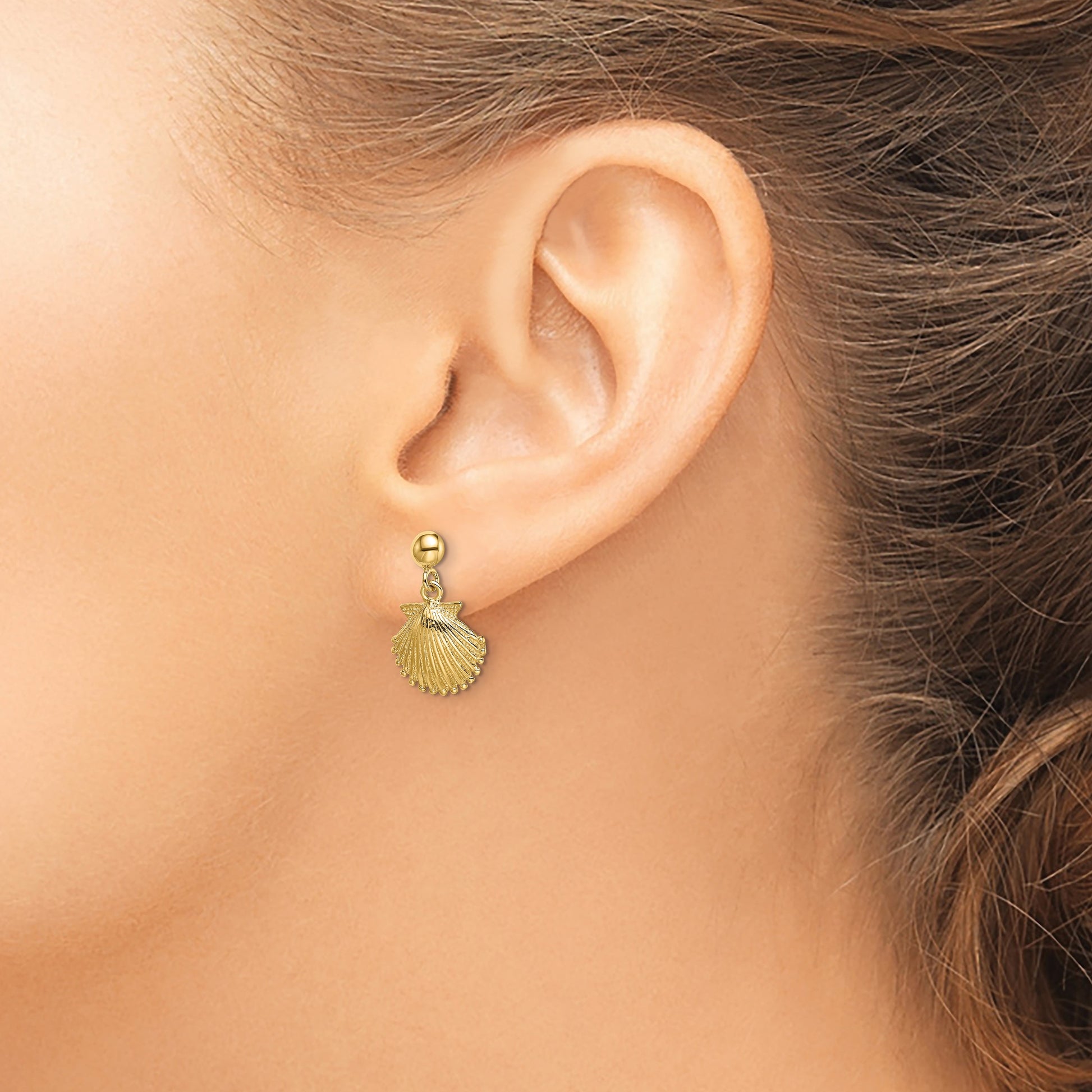 14K Polished Scallop Shell Dangle Earrings
