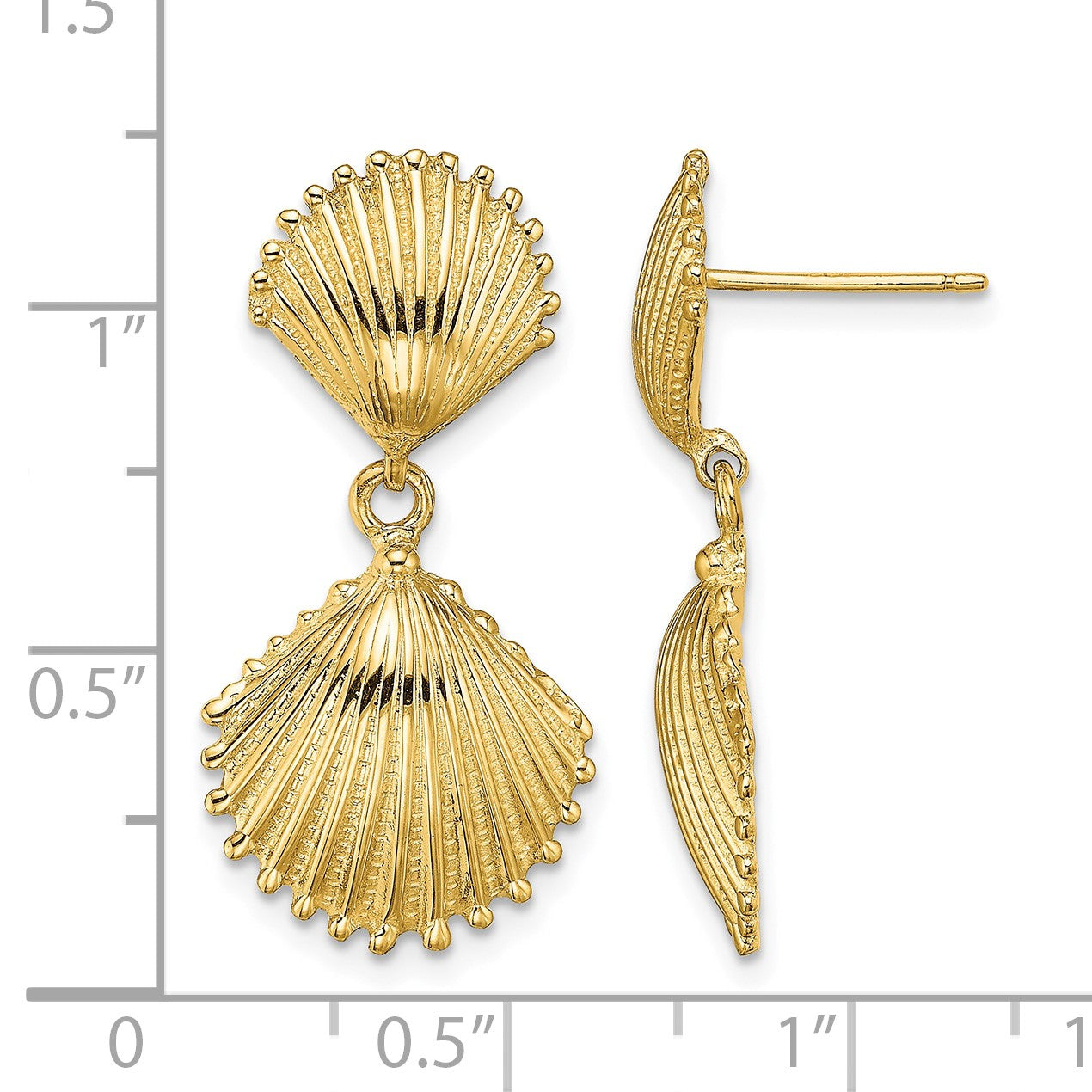 14K Polished Scallop Shell Dangle Earrings
