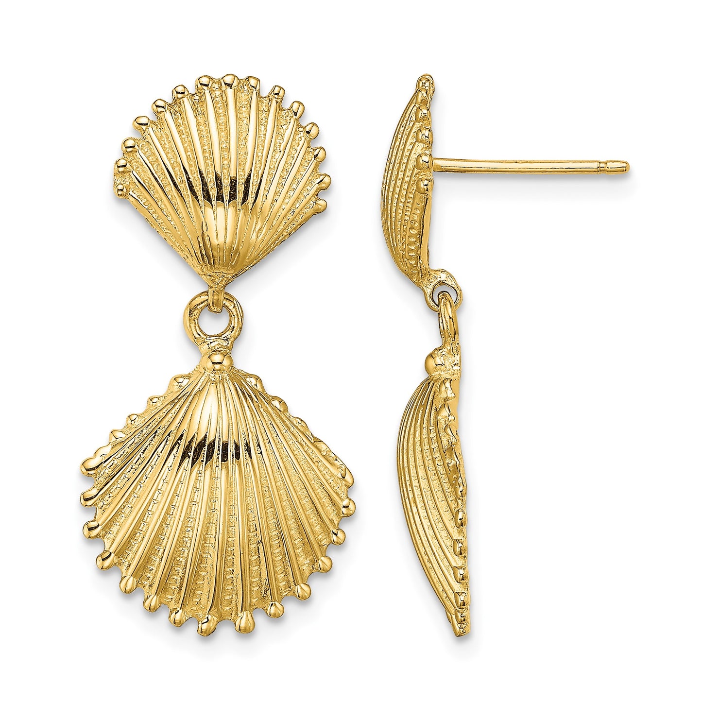 14K Polished Scallop Shell Dangle Earrings