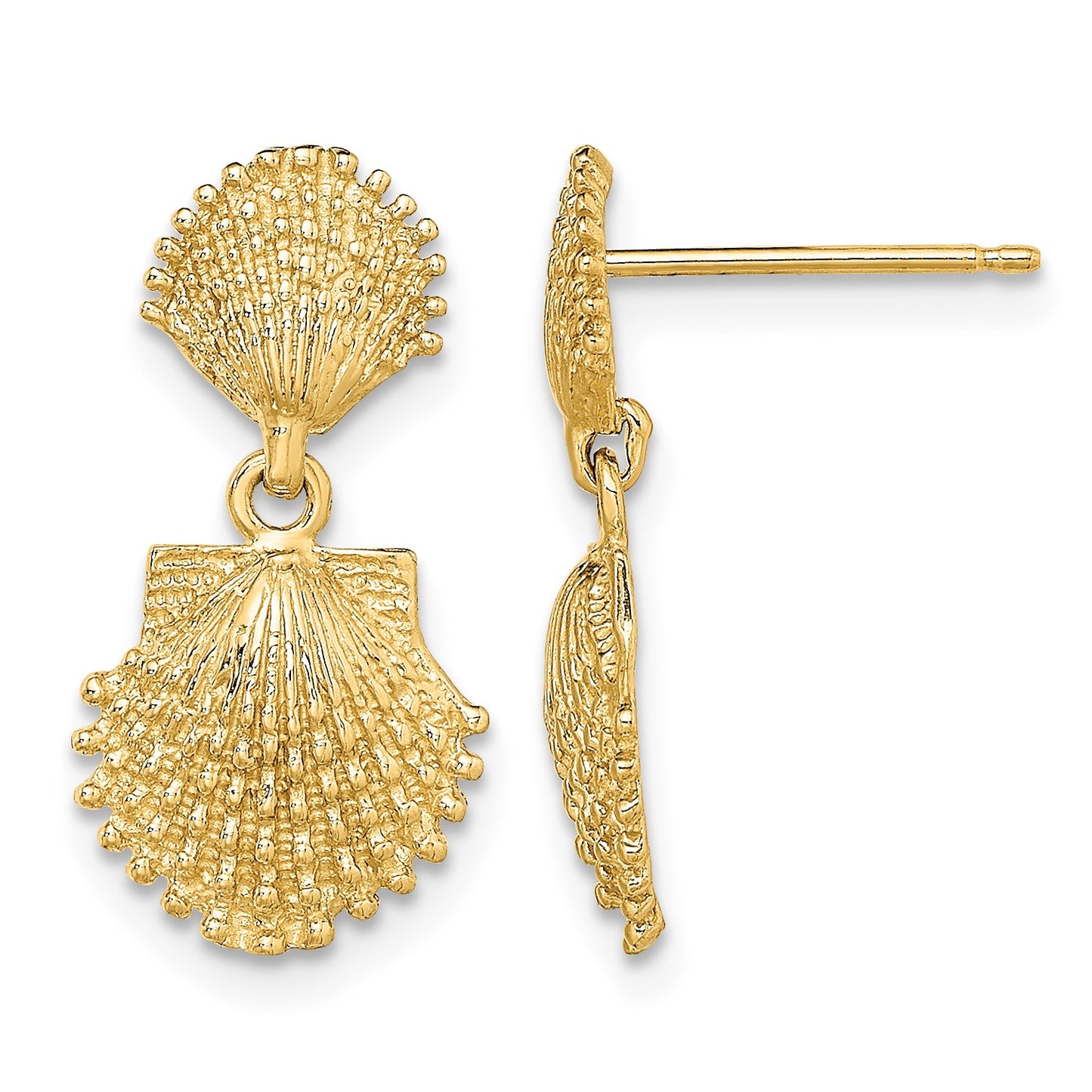 14K Double Beaded Scallop Shell Dangle Earrings