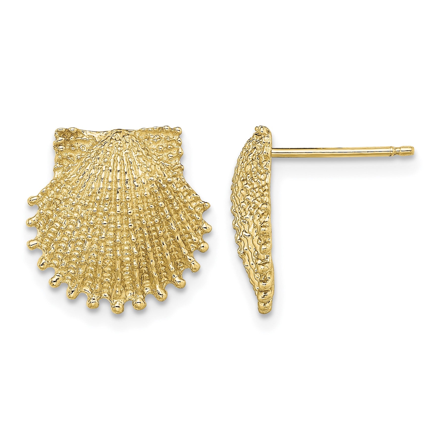 14K Beaded Scallop Shell Post Earrings