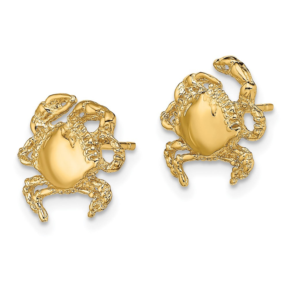 14K 2-D / Polished Crab Post Earrings