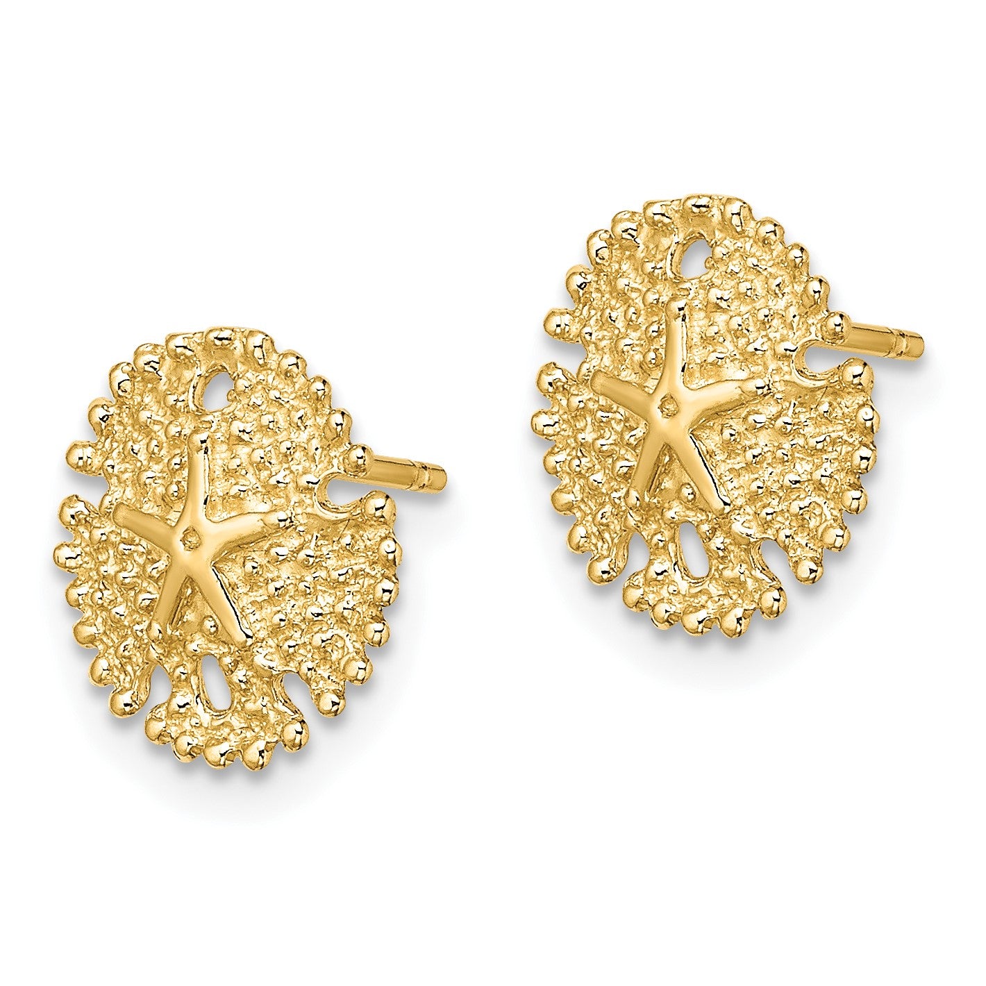 14K Textured Sand Dollar Post Earrings
