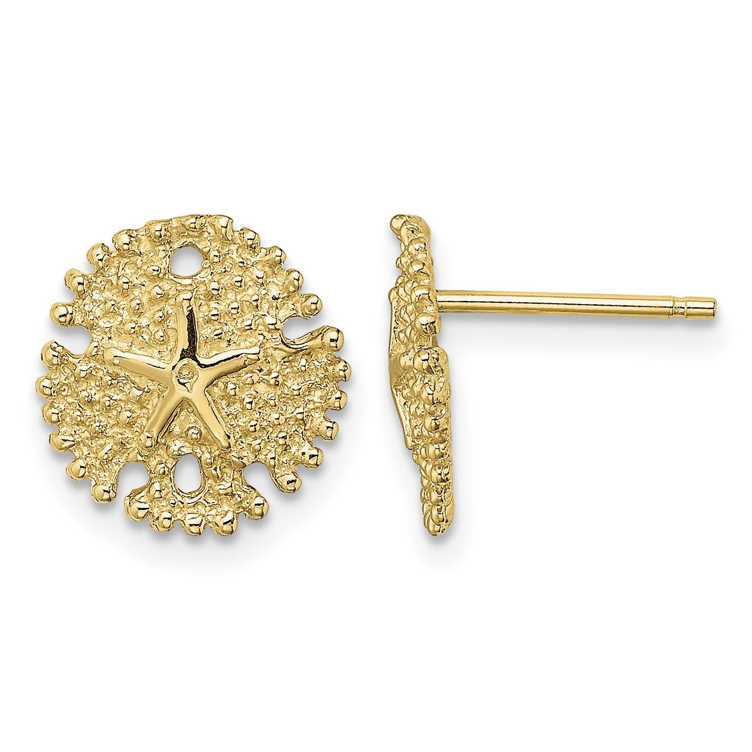 14K Textured Sand Dollar Post Earrings
