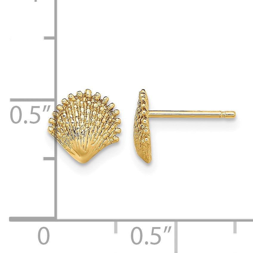 14K Scallop Shell Post Earrings