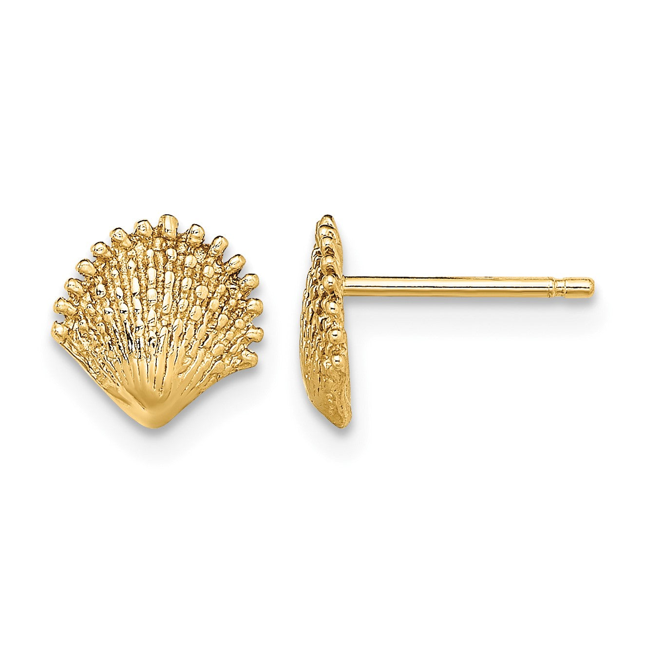14K Scallop Shell Post Earrings