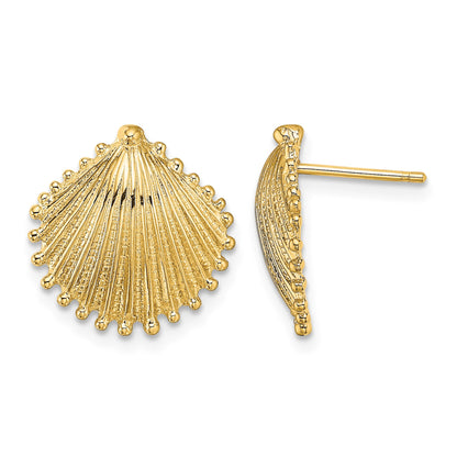 14K Scallop Shell Post Earrings