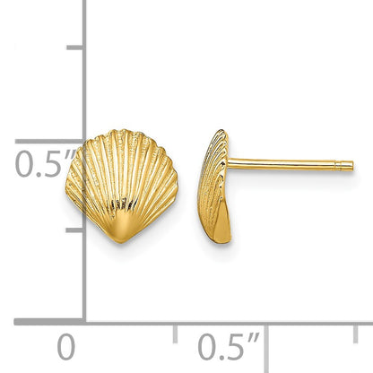 14K Scallop Shell Post Earrings