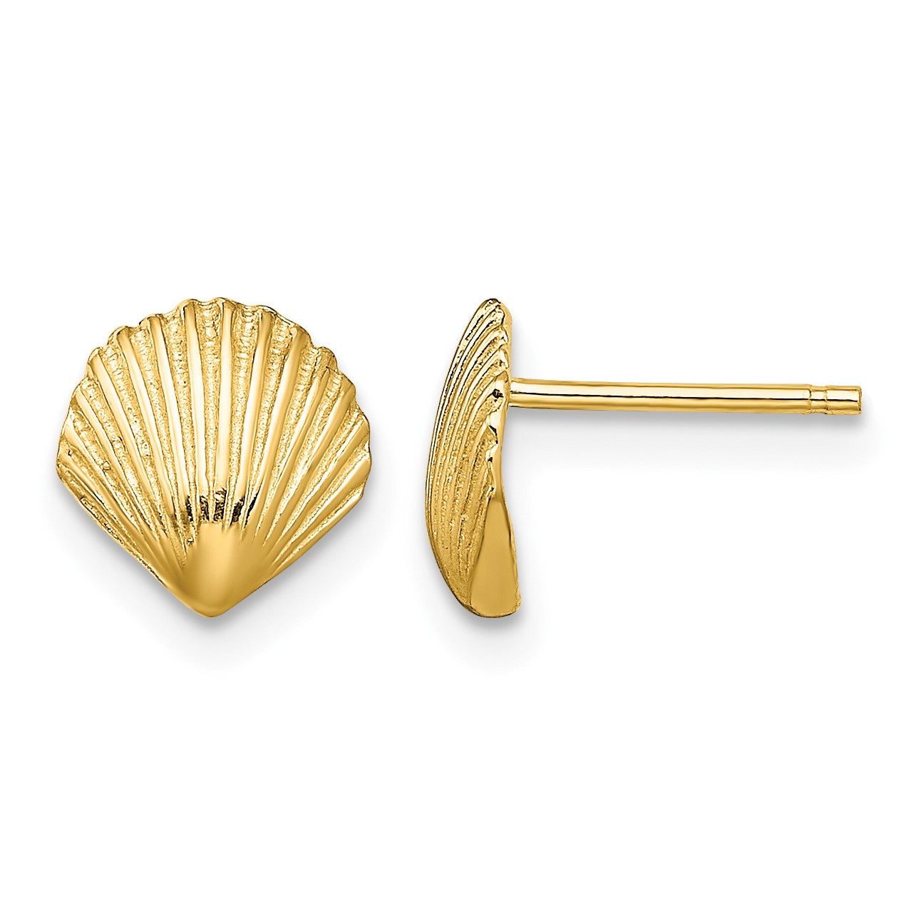 14K Scallop Shell Post Earrings