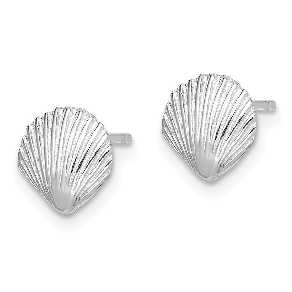 14K White Gold Scallop Shell Post Earrings