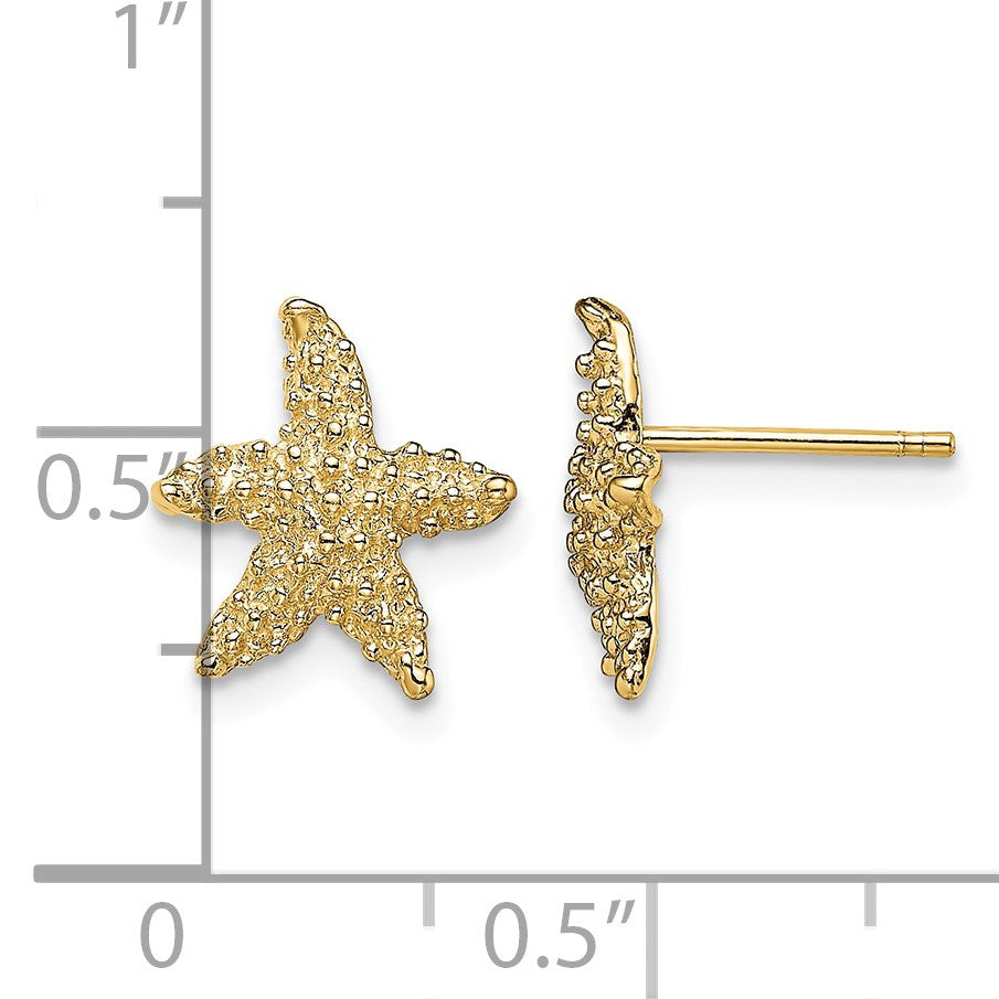 14K Textured Starfish Post Earrings