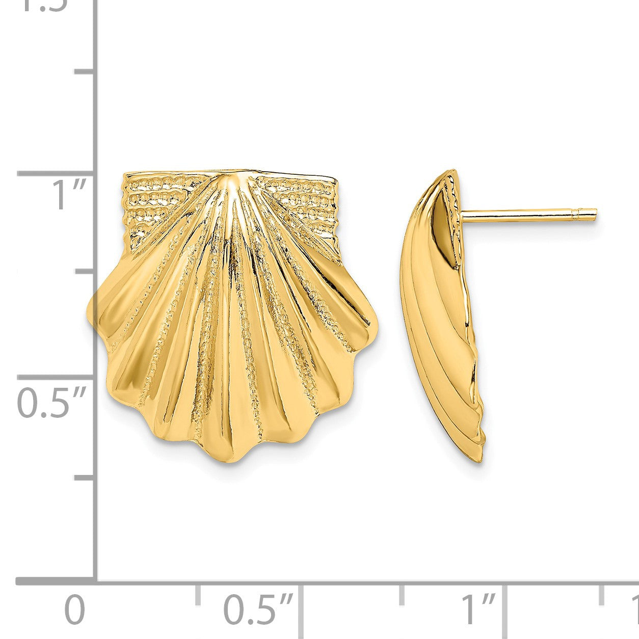 14K Scallop Shell Earrings