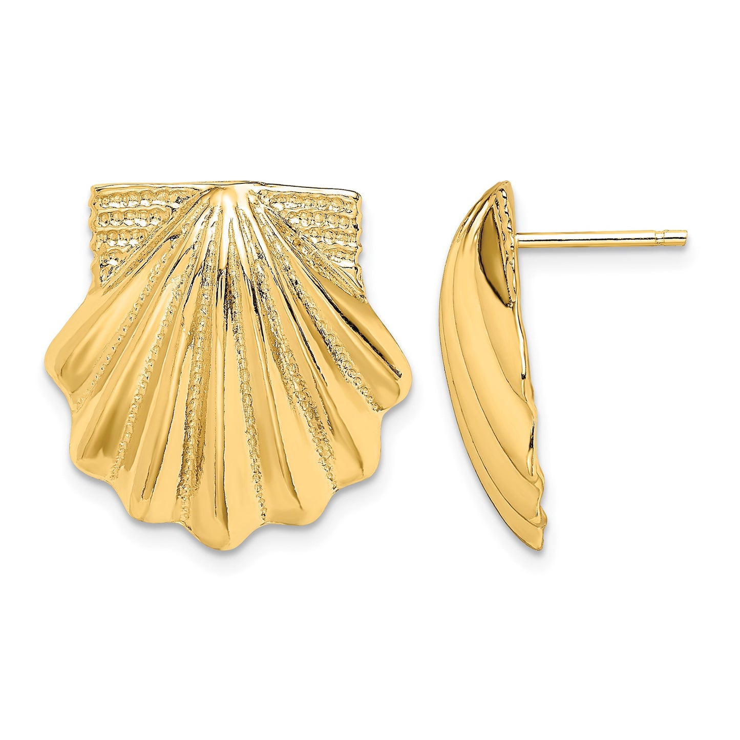 14K Scallop Shell Earrings