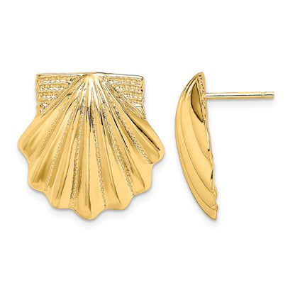 14K Scallop Shell Earrings
