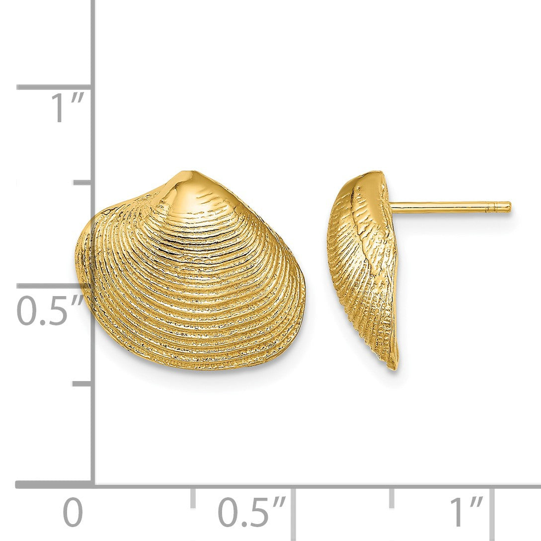14K Clam Shell Post Earrings