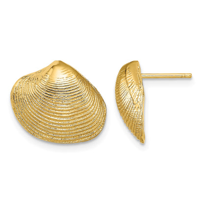14K Clam Shell Post Earrings
