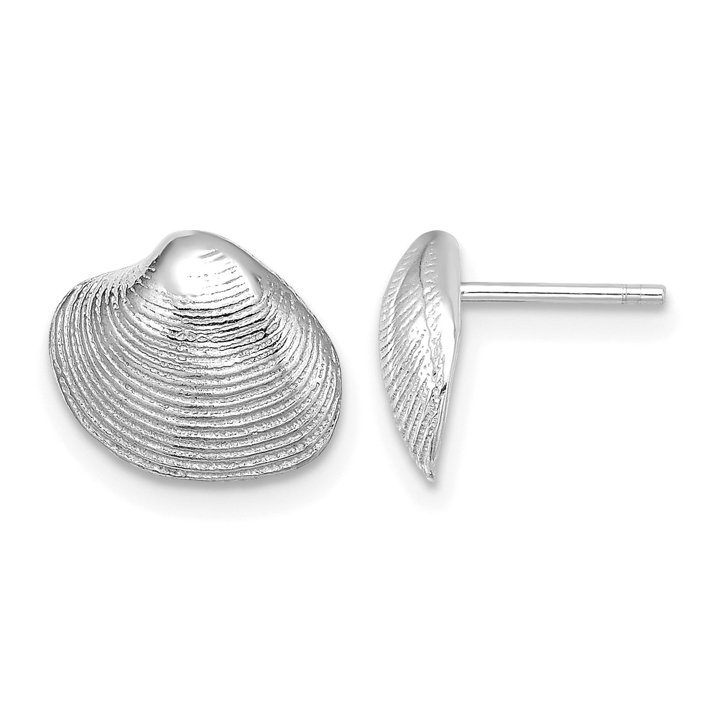 14K White Gold Clam Shell Post Earrings