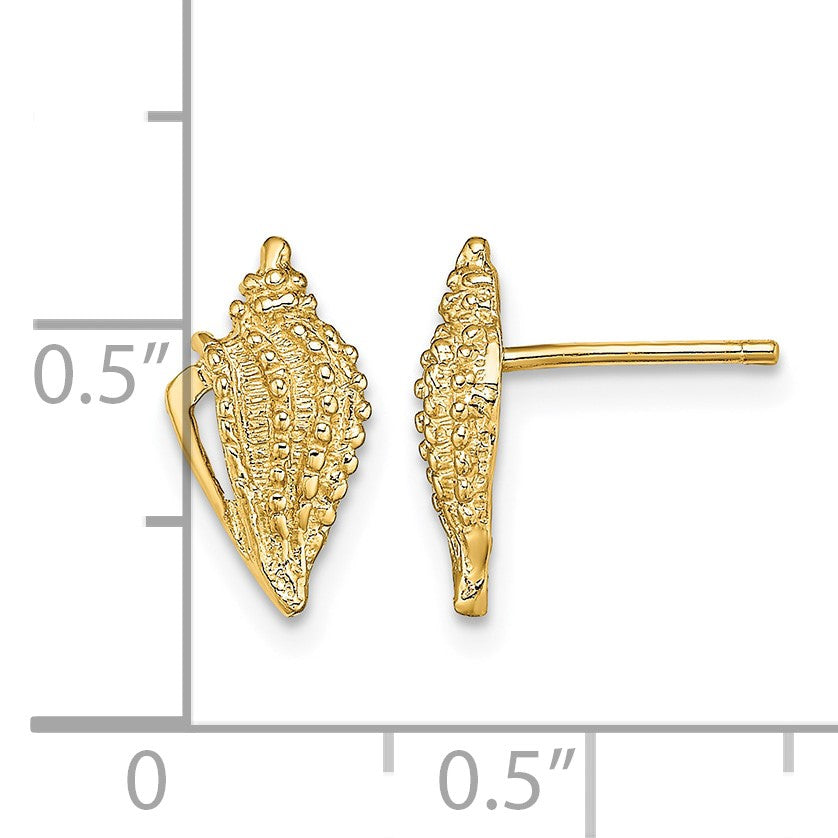 14K Mini Conch Shell Post Earrings