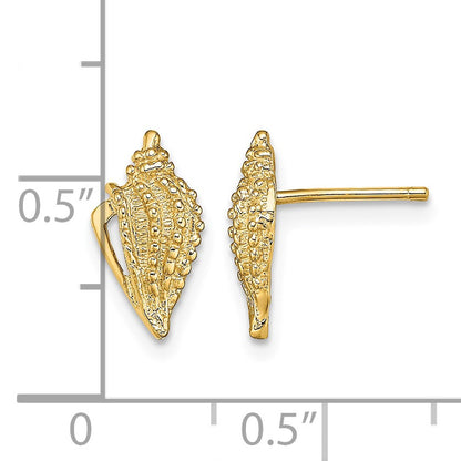 14K Mini Conch Shell Post Earrings
