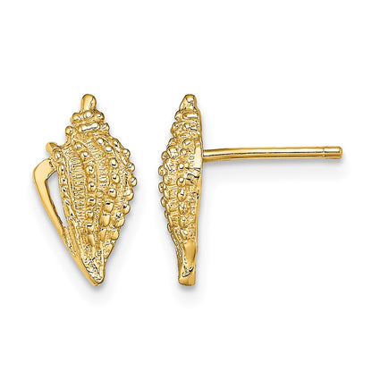 14K Mini Conch Shell Post Earrings