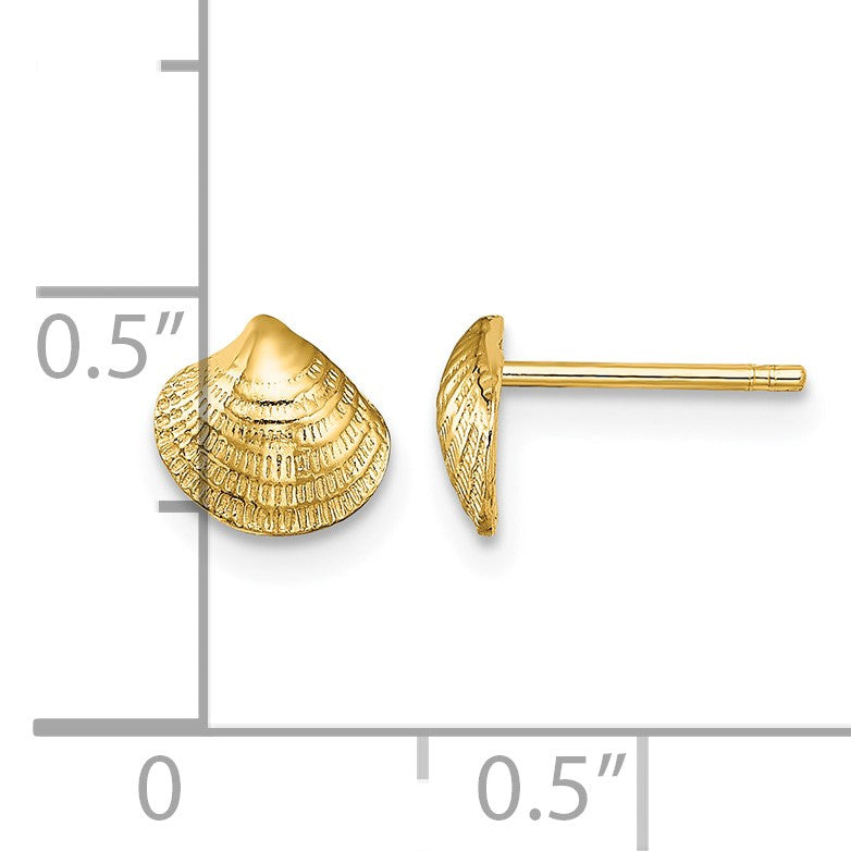 14K Mini Clam Shell Post Earrings