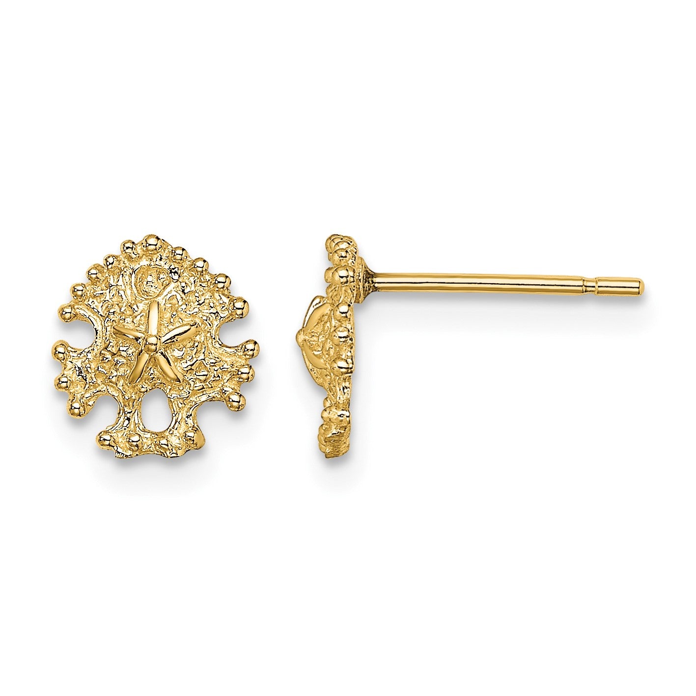 14K Mini Sand Dollar Post Earrings