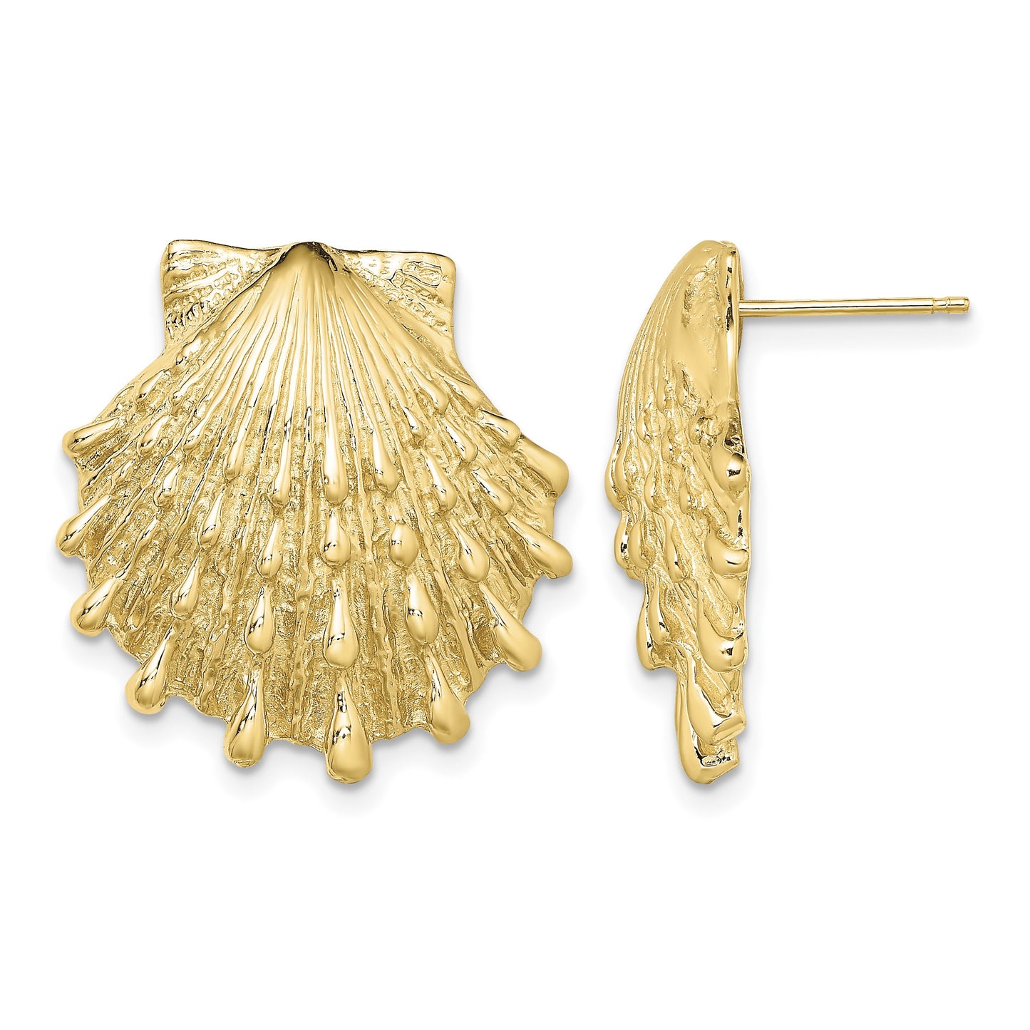 14K Lion's Paw Shell Post Earrings