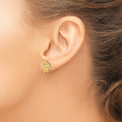 14k Polished Turtle Post Earrings