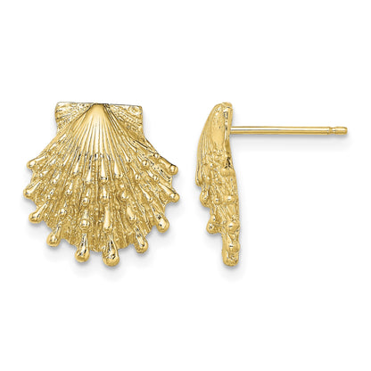 14K Lion's Paw Shell Post Earrings