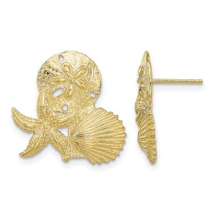 14K Sand Dollar, Starfish, ,Scallop Cluster Post Earrings