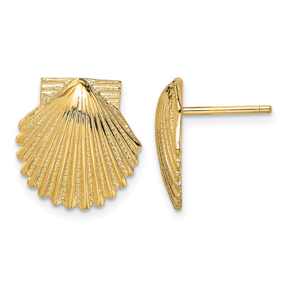 14K 2-D Polished Scallop Shell Post Earrings