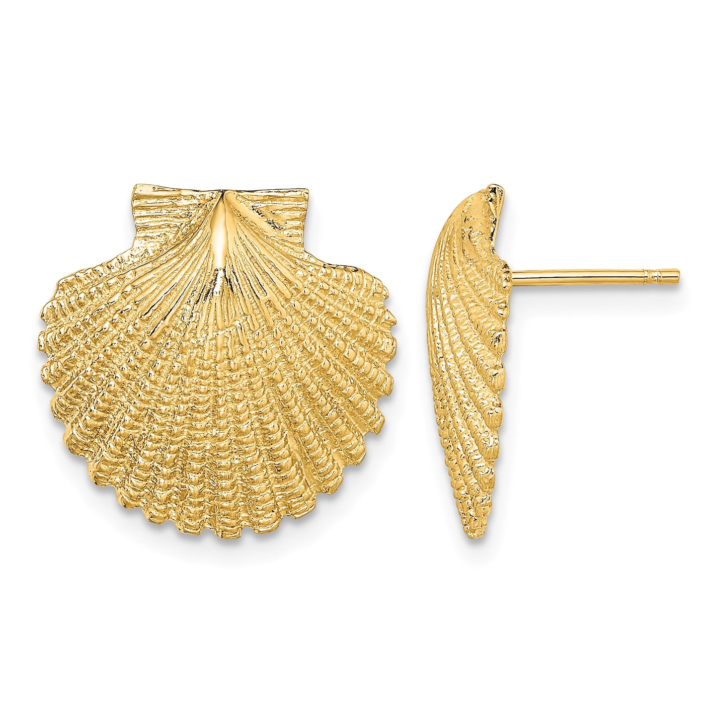14K 2-D Textured Scallop Shell Post Earrings