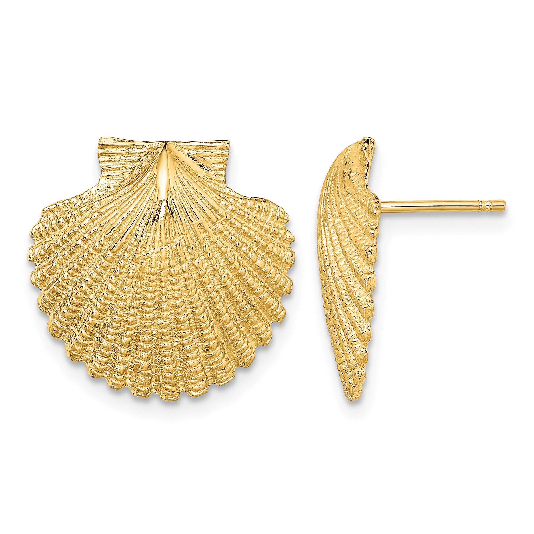 14K 2-D Textured Scallop Shell Post Earrings
