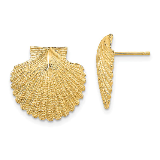 14K 2-D Textured Scallop Shell Post Earrings