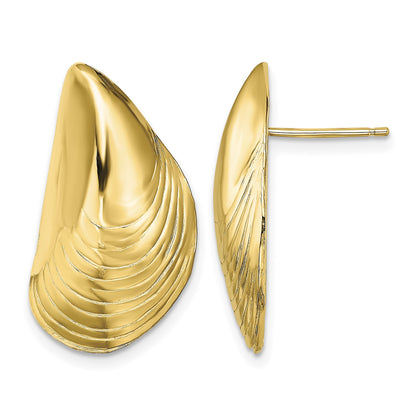 14K Polished Mussel Shell Post Earrings