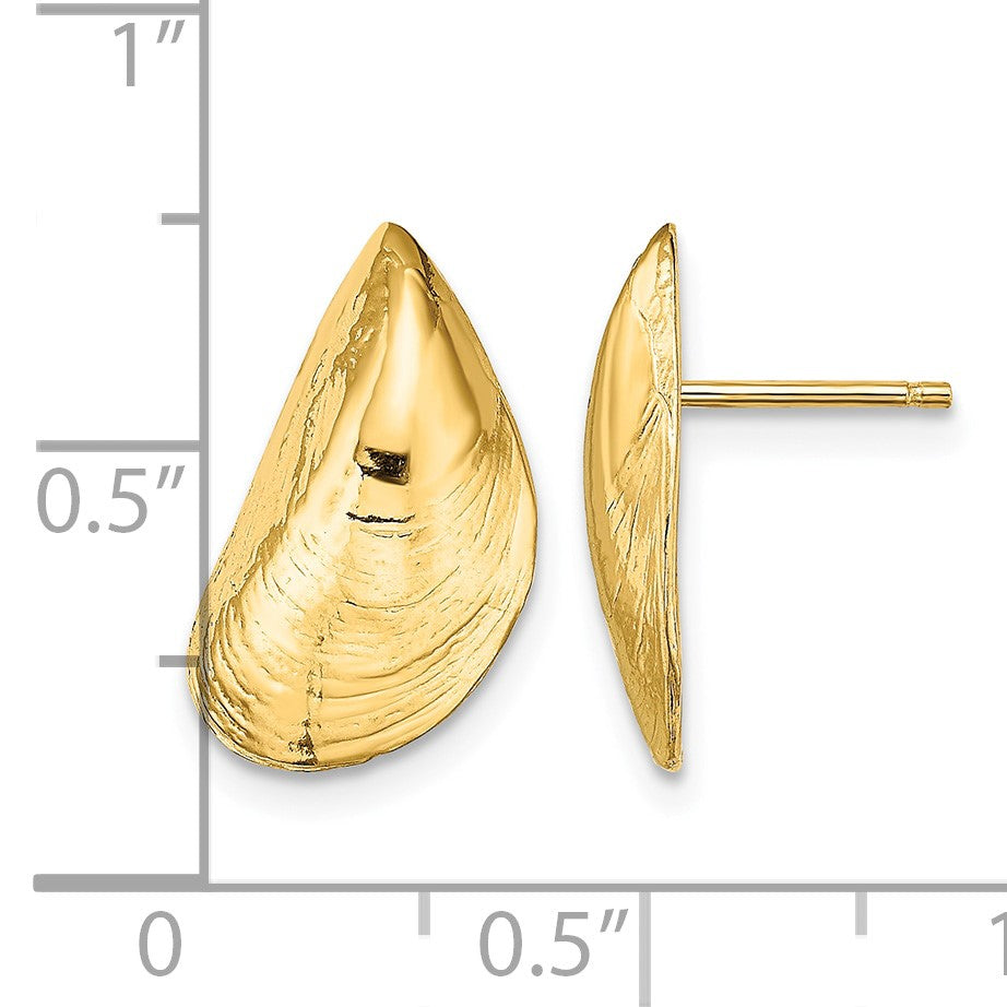 14K Mussel Shell Post Earrings
