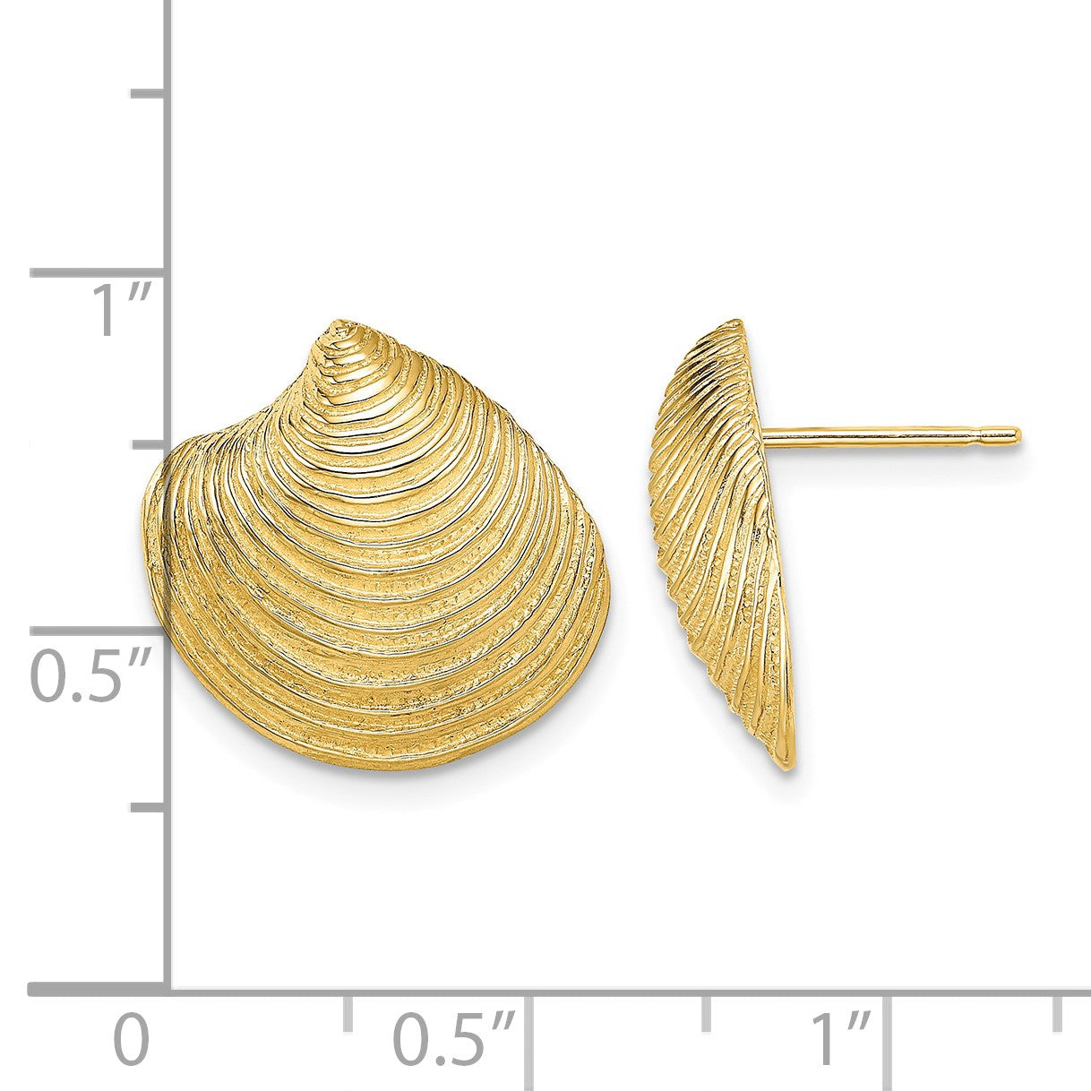14K 2-D Textured and Polished Clam Shell Post Earrings