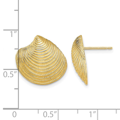 14K 2-D Textured and Polished Clam Shell Post Earrings