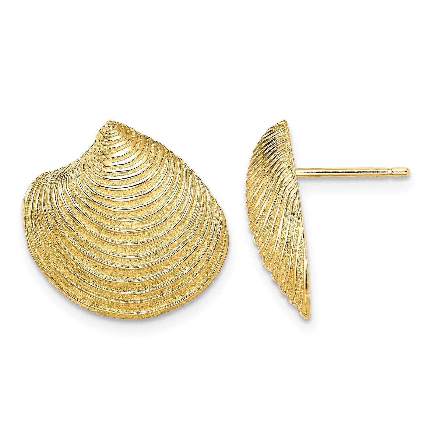 14K 2-D Textured and Polished Clam Shell Post Earrings