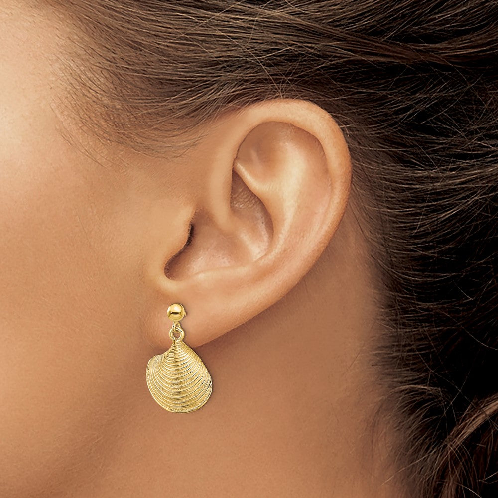 14K 2-D Textured and Polished Clam Shell Dangle Earrings