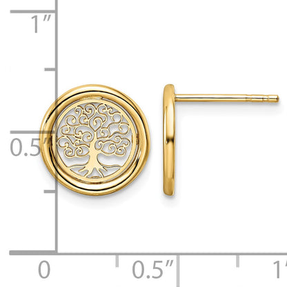 14k Polished Filigree Tree of Life in Circle Post Earrings